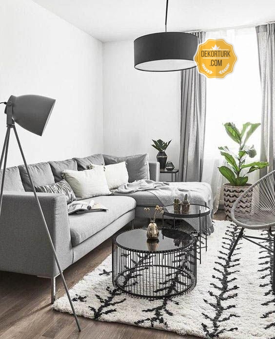 oturma-odasi-fikirleri-